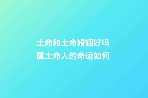 土命和土命婚姻好吗 属土命人的命运如何